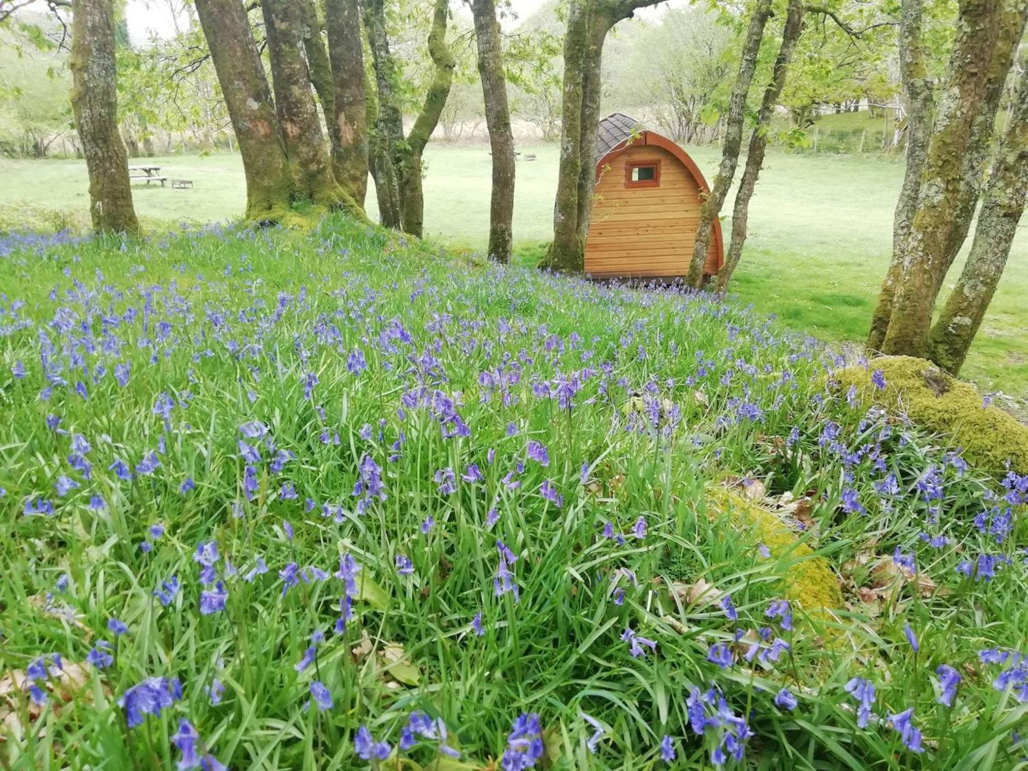 Dinas Hotel Llanbedr  Buitenkant foto