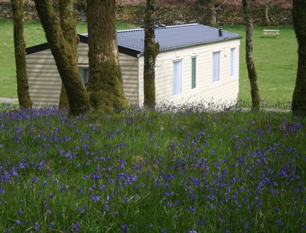 Dinas Hotel Llanbedr  Buitenkant foto